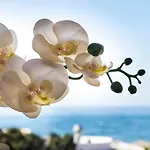 Sea Front Studio In Marbella