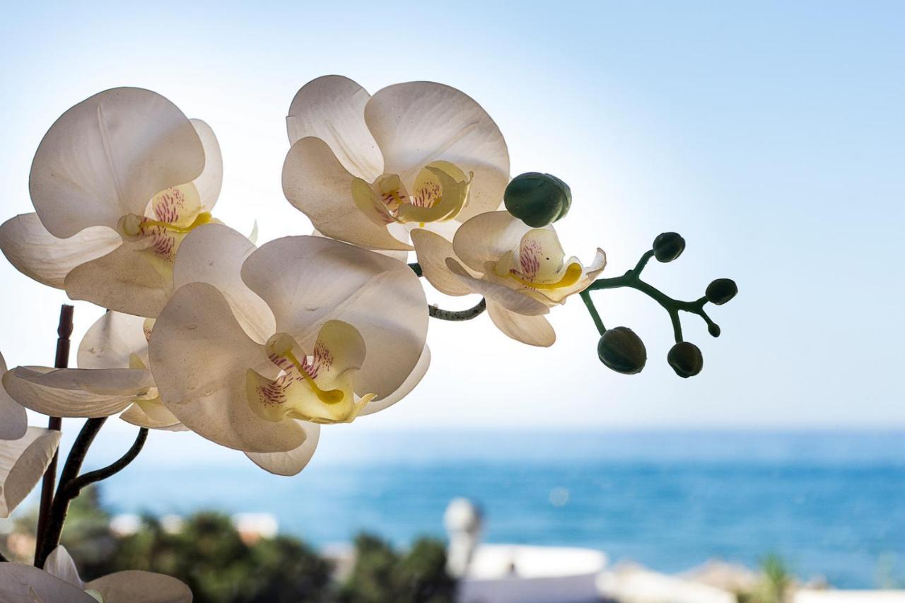 Sea Front In Marbella